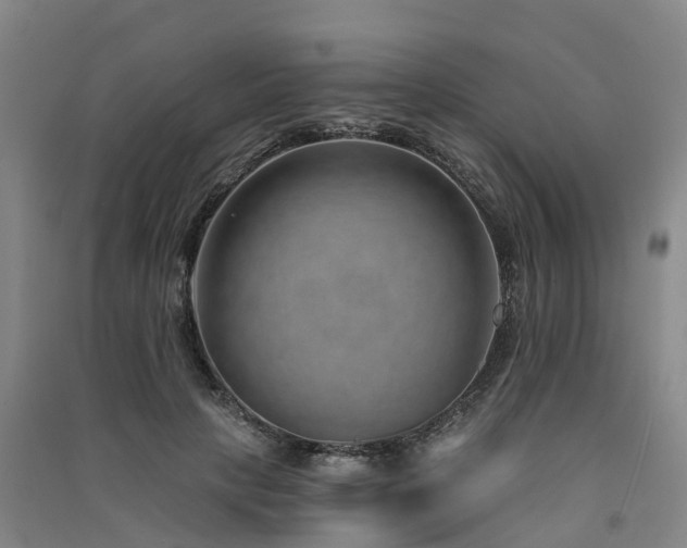 X0000091560649200708171326