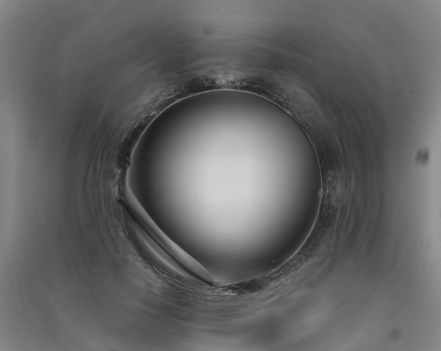 X0000091560650200708171326