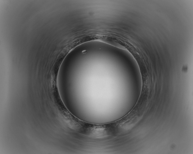 X0000091560651200708171326