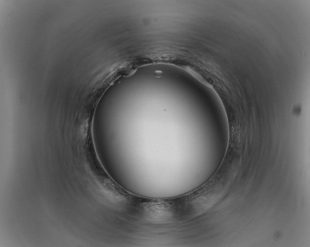 X0000091560652200708171326