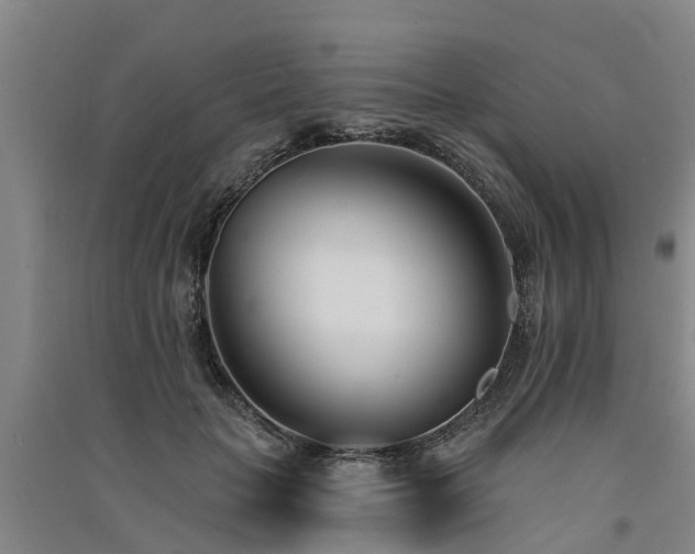 X0000091560653200708171326