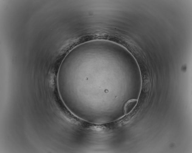 X0000091560654200708171326