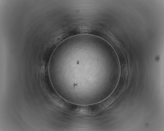 X0000091560655200708171326