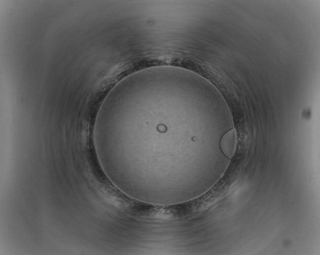 X0000091560656200708171327