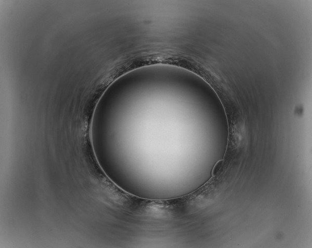 X0000091560657200708171327