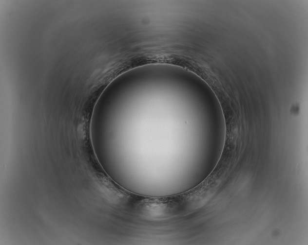 X0000091560658200708171327