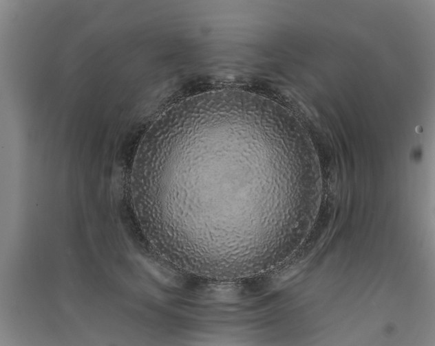 X0000091560659200708171327