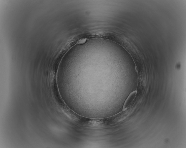 X0000091560660200708171327