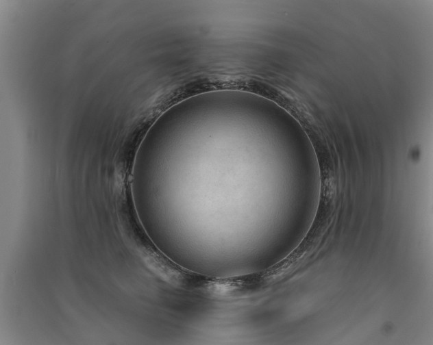 X0000091560662200708171327