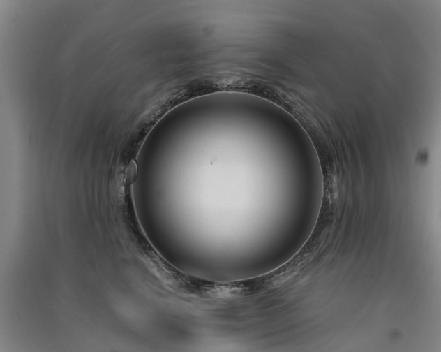 X0000091560664200708171327