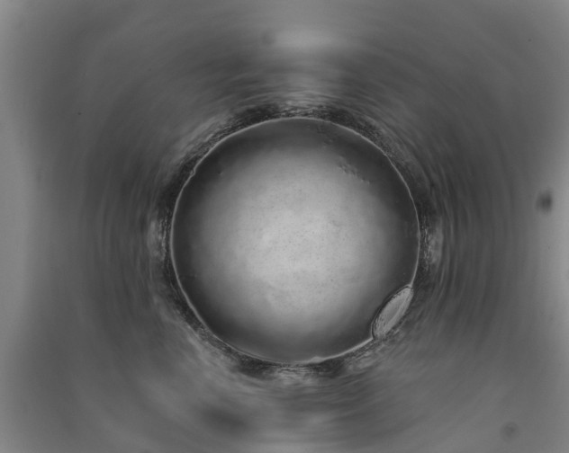 X0000091560666200708171327