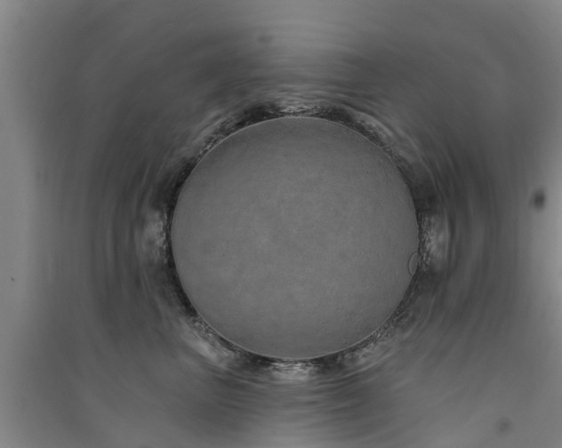 X0000091560667200708171327