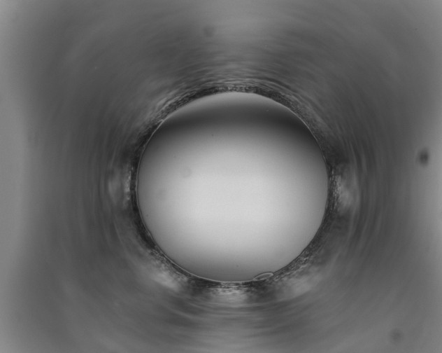 X0000091560668200708171327