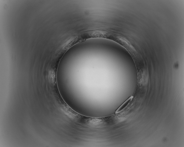 X0000091560669200708171327