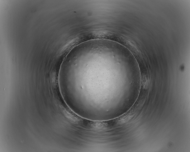 X0000091560670200708171327