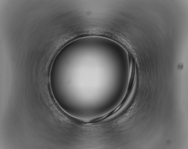 X0000091560673200708171326