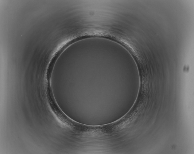 X0000091560674200708171326