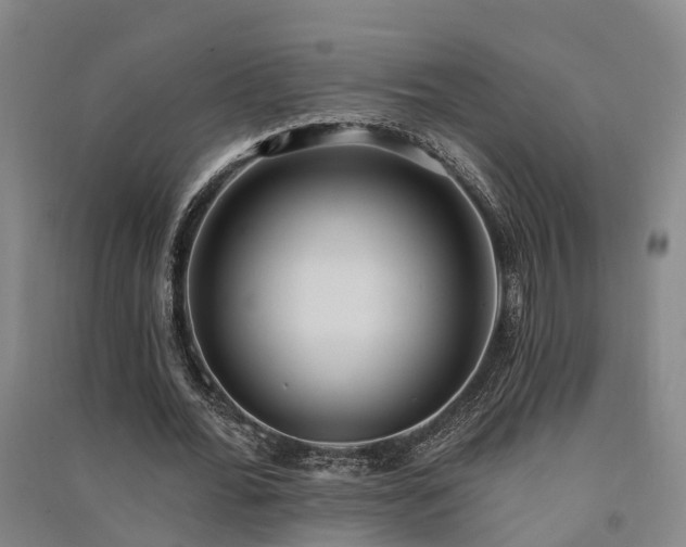 X0000091560676200708171326