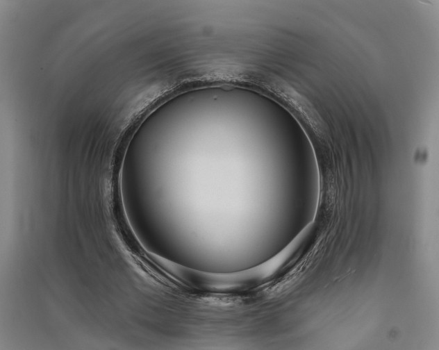 X0000091560677200708171326