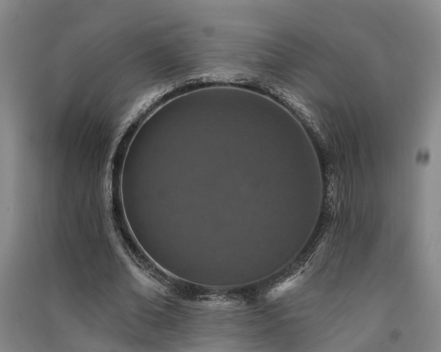 X0000091560678200708171326