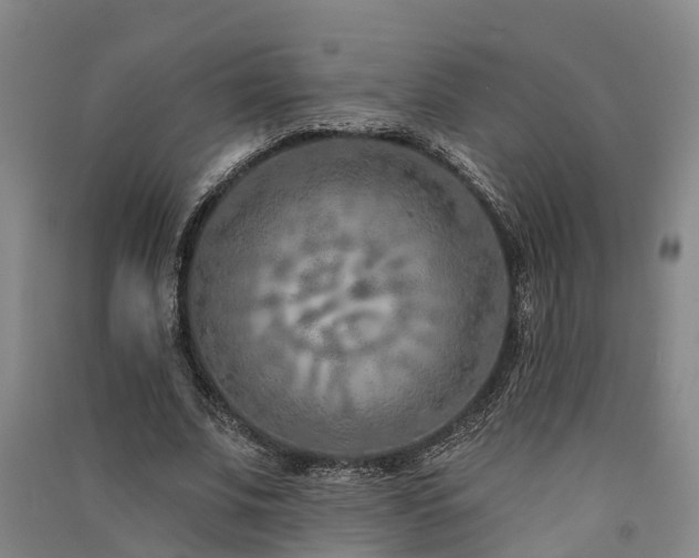 X0000091560679200708171326