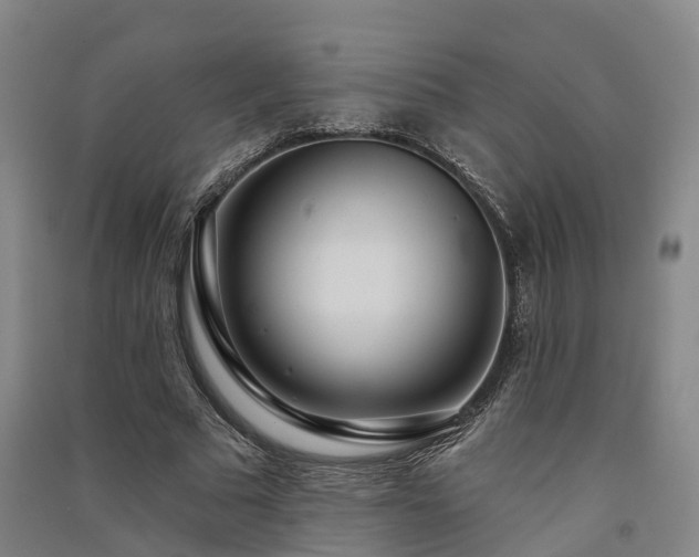 X0000091560681200708171326