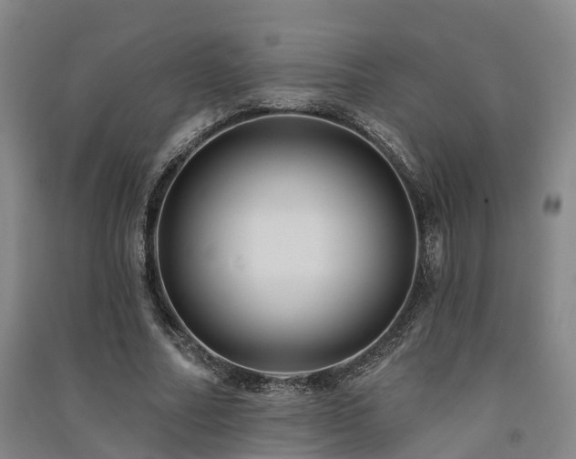 X0000091560682200708171326