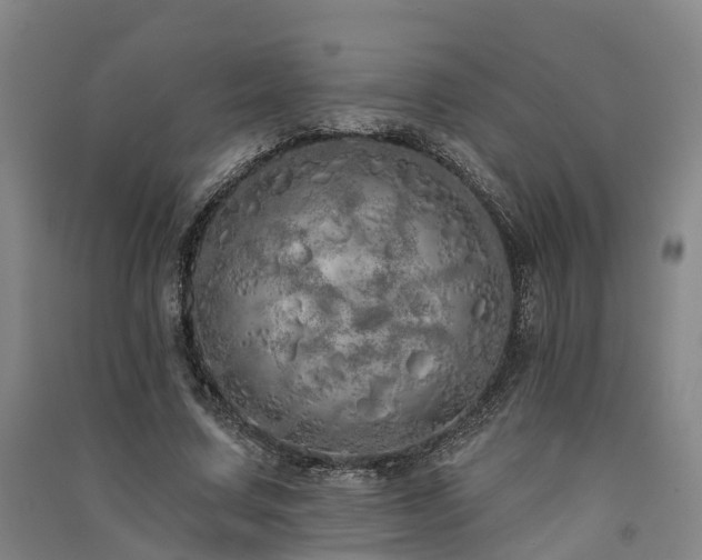 X0000091560683200708171326