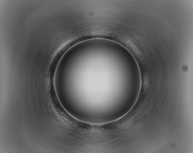 X0000091560684200708171326