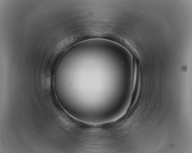 X0000091560685200708171326