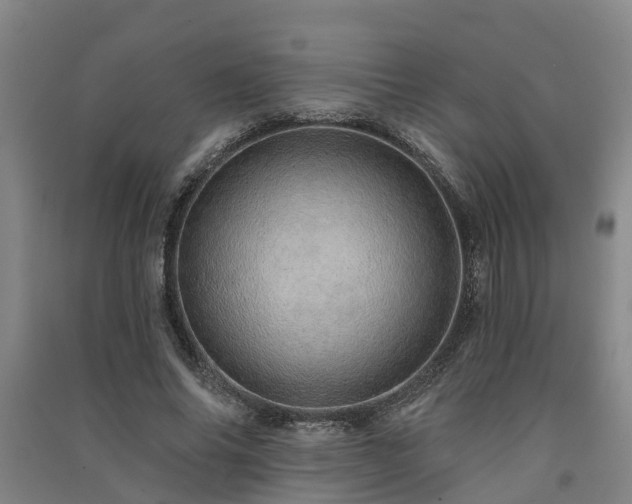 X0000091560686200708171326