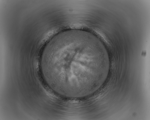 X0000091560687200708171326