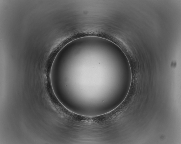 X0000091560688200708171326