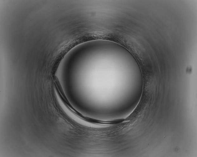 X0000091560689200708171326