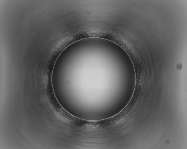 X0000091560690200708171326