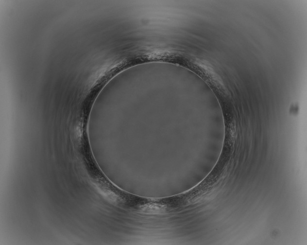 X0000091560691200708171326