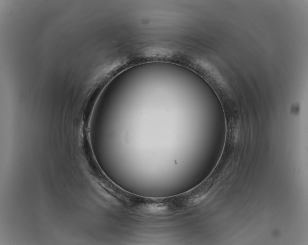 X0000091560692200708171326