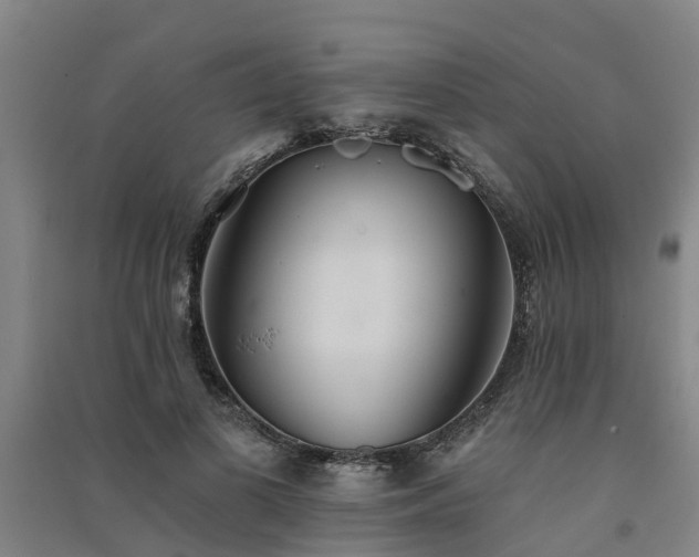 X0000091560693200708171326