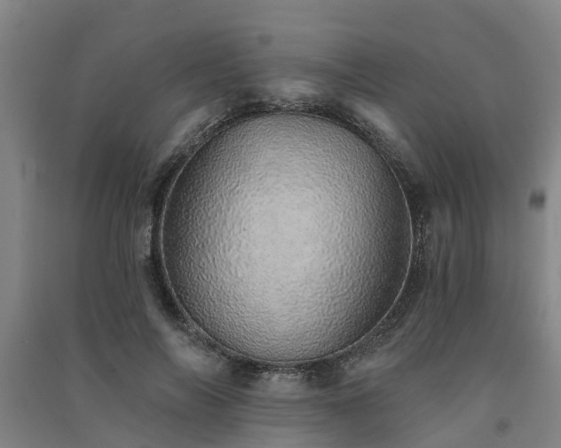 X0000091560694200708171326