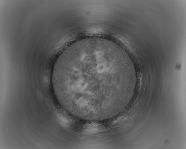 X0000091560695200708171326