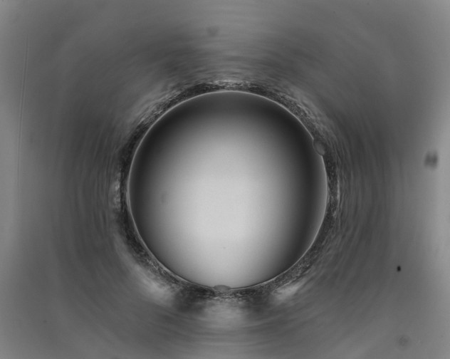 X0000091560696200708171326