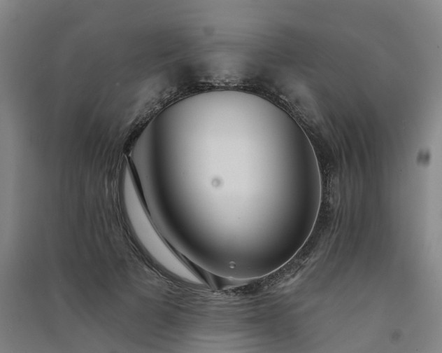 X0000091560697200708171326