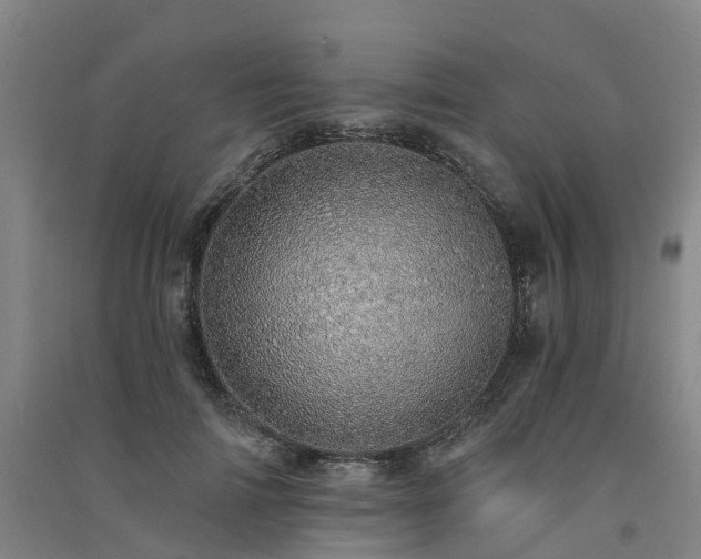 X0000091560698200708171326