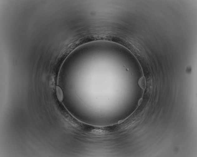 X0000091560699200708171326