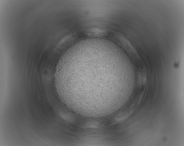 X0000091560701200708171326