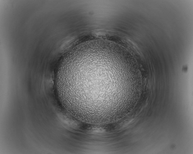 X0000091560702200708171326