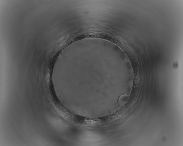 X0000091560703200708171326