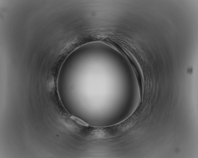 X0000091560704200708171326