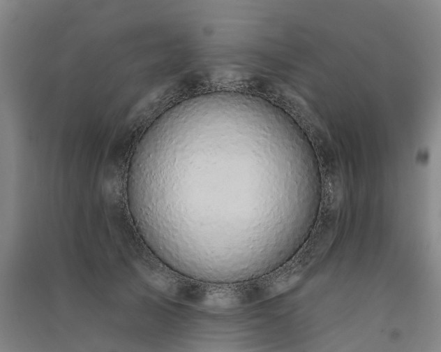 X0000091560705200708171326