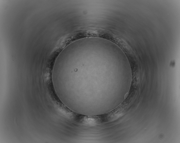 X0000091560706200708171326